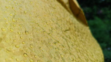 Recaro Car Body Cover | Spyro Gold | Toyota Etios Liva With Antenna Pocket : Waterproof